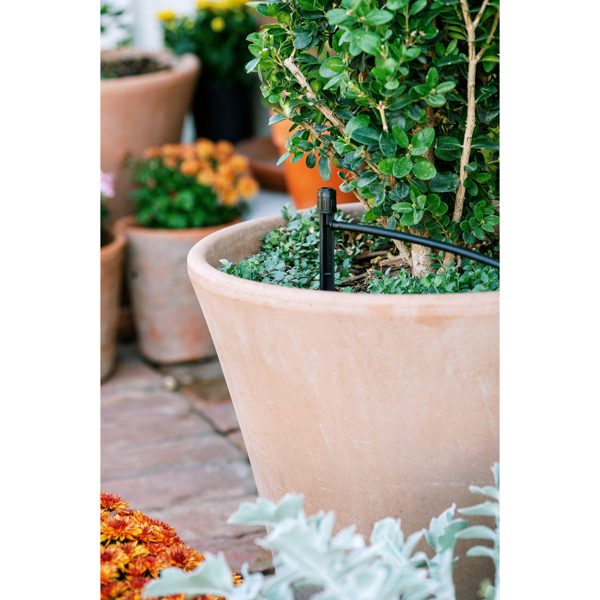 Orbit Patio & Potted Plant Drip Irrigation Kit — 67523